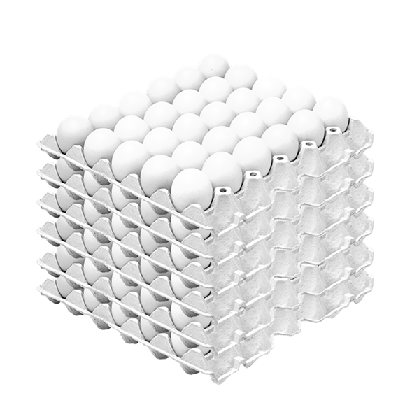 decorativo caja de huevos blancos